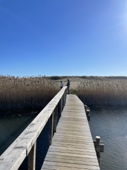 0 Quansoo Beach Lot