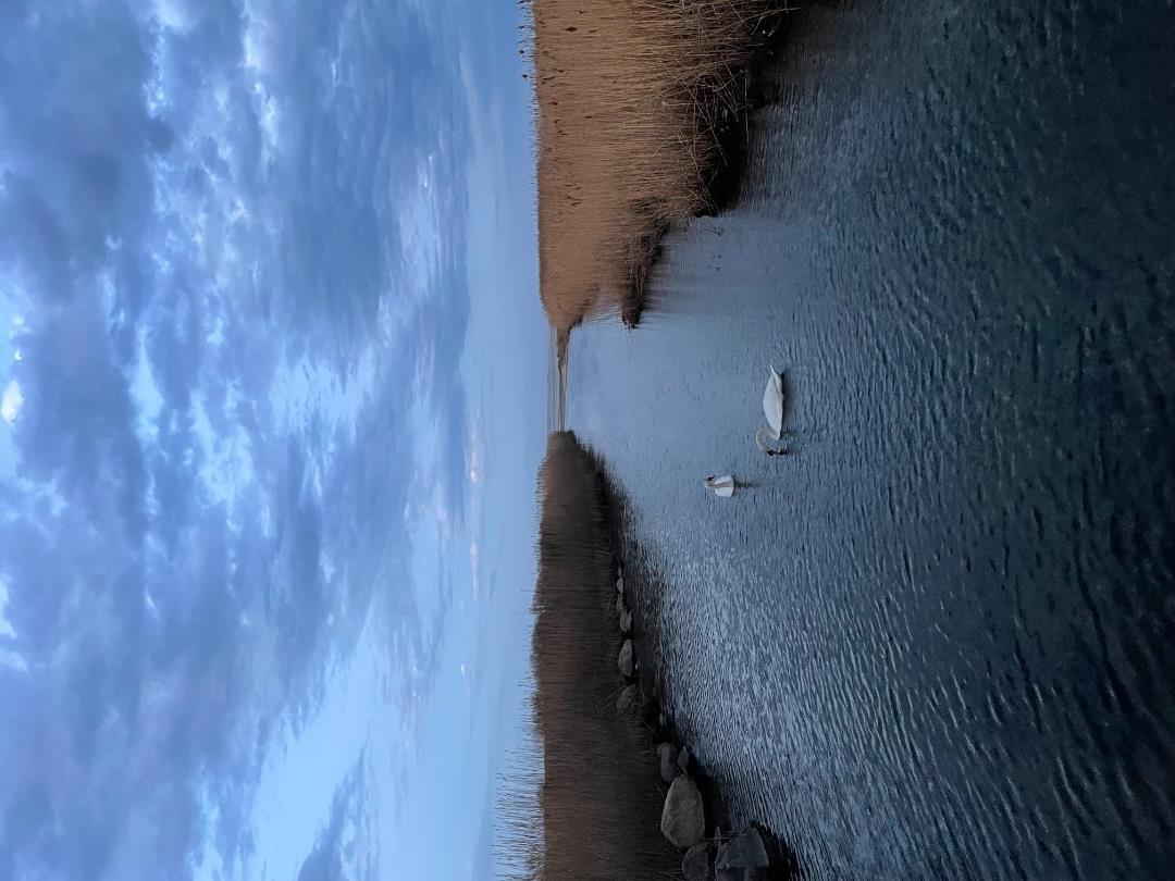 0 Quansoo Beach Lot