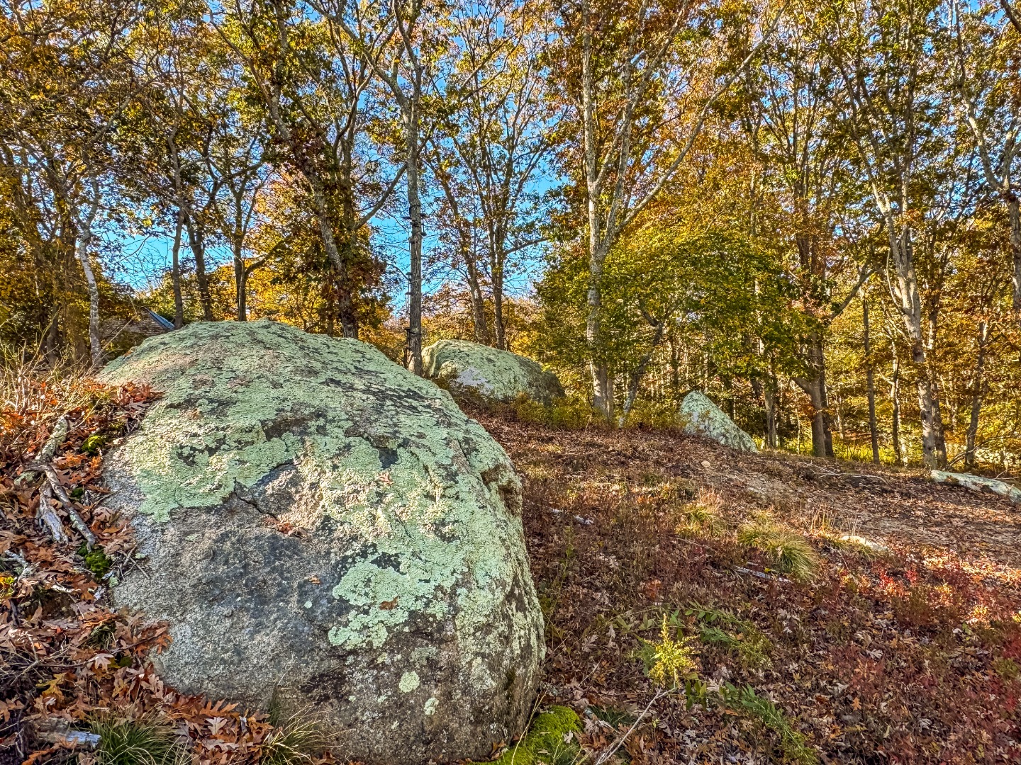 31 Tower Lane and 34 Ebens Lane