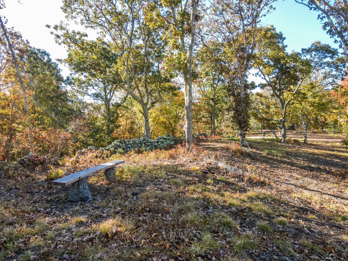 31 Tower Lane and 34 Ebens Lane