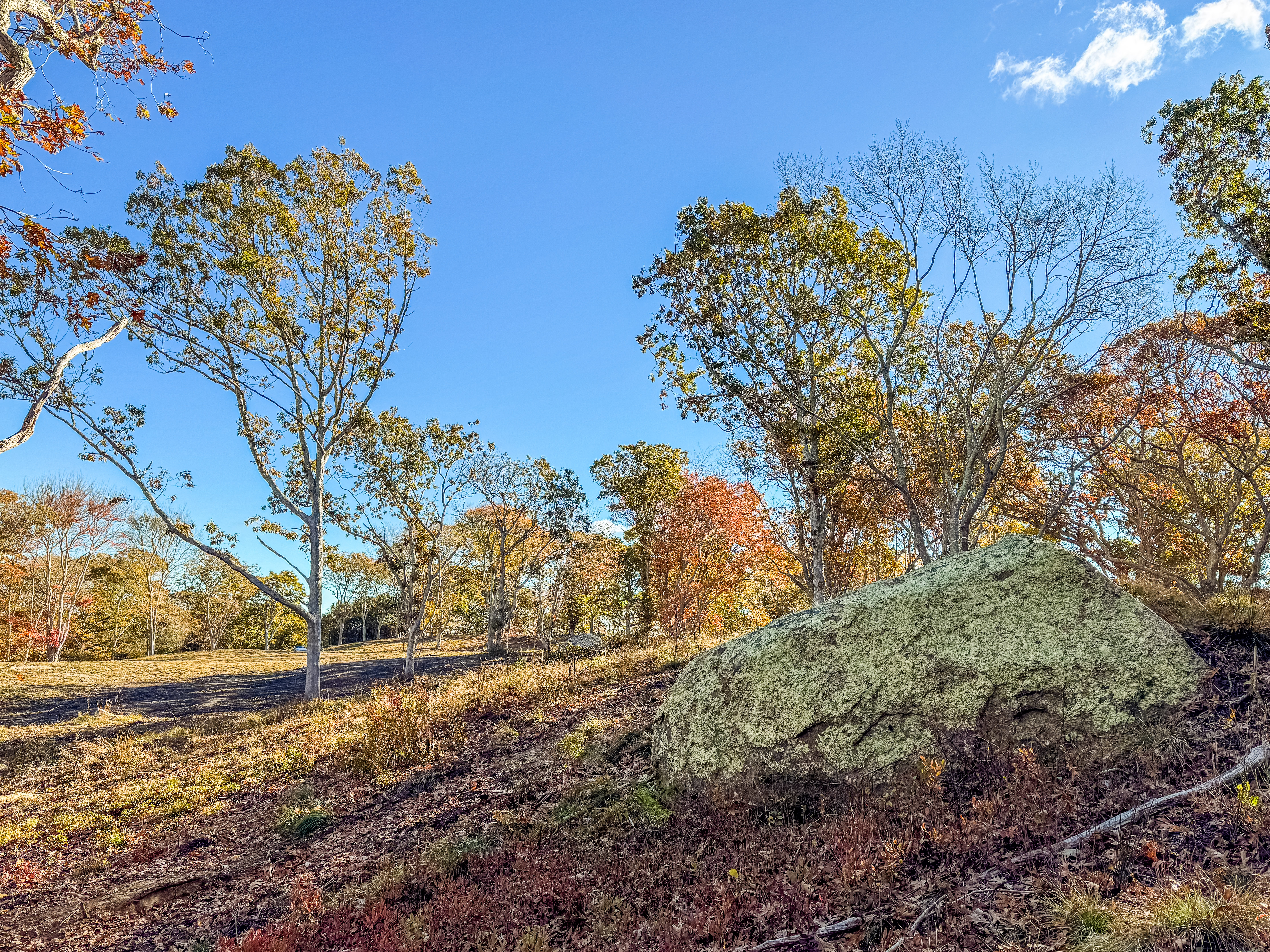 31 Tower Lane and 34 Ebens Lane