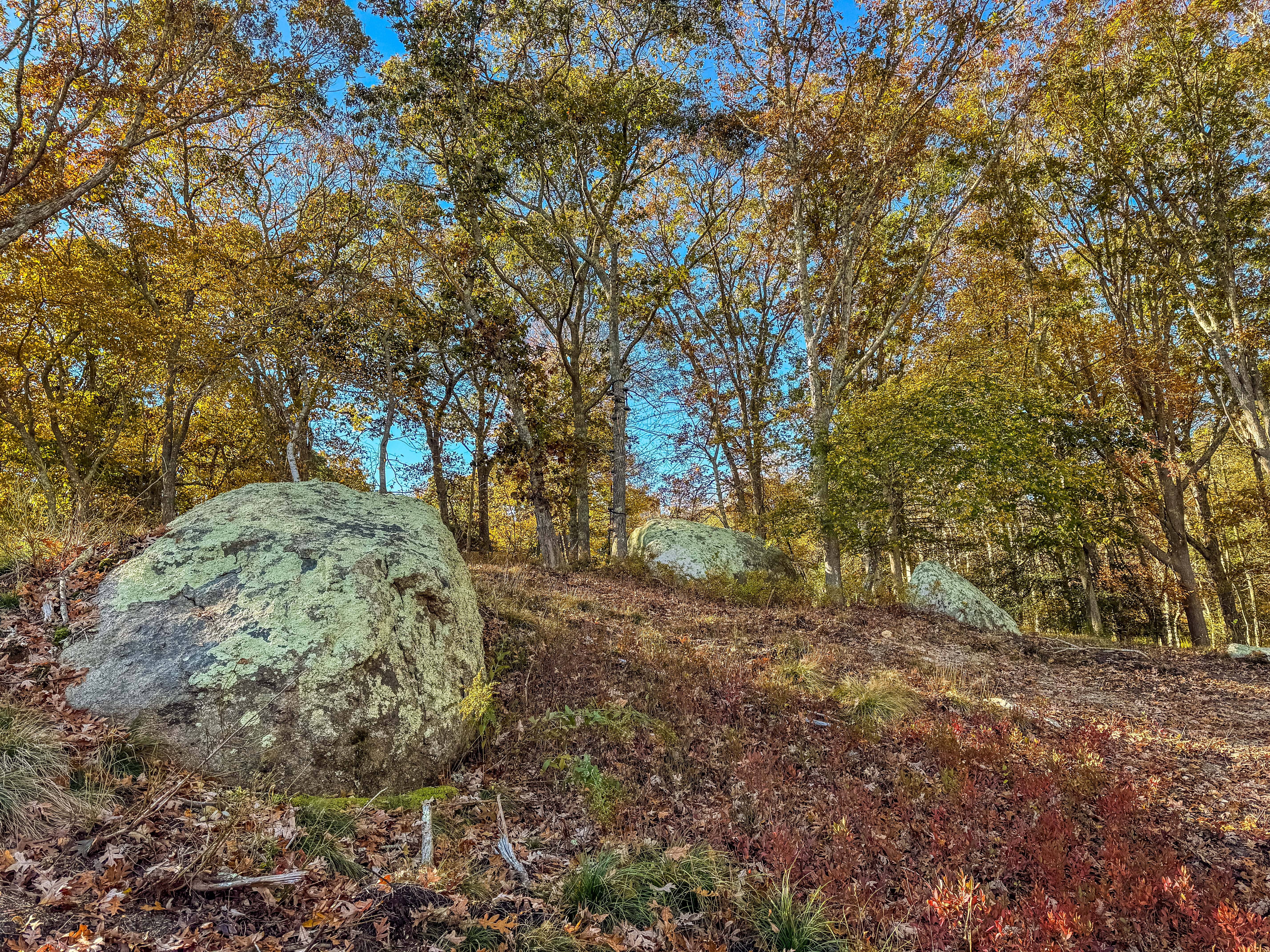 31 Tower Lane and 34 Ebens Lane