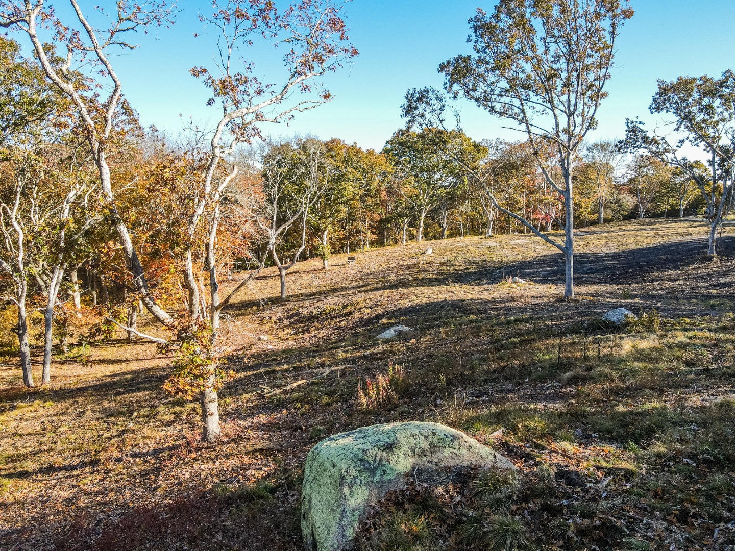 31 Tower Lane and 34 Ebens Lane