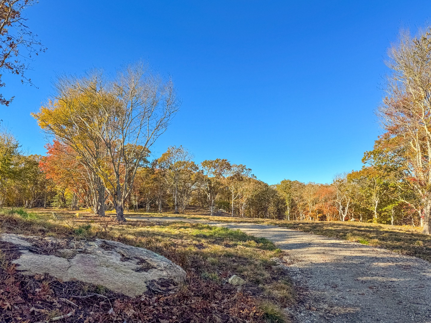 31 Tower Lane and 34 Ebens Lane