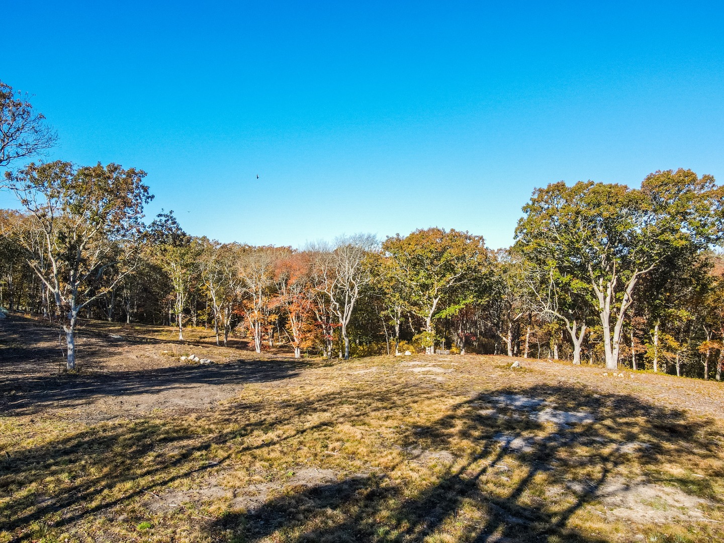 31 Tower Lane and 34 Ebens Lane