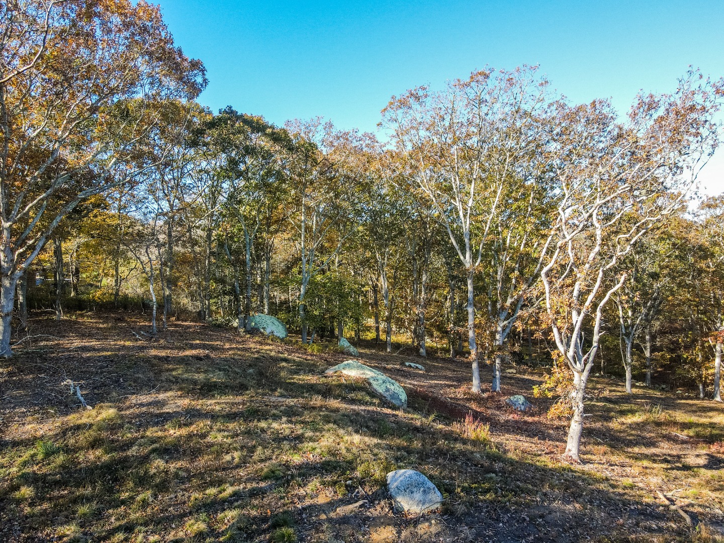 31 Tower Lane and 34 Ebens Lane