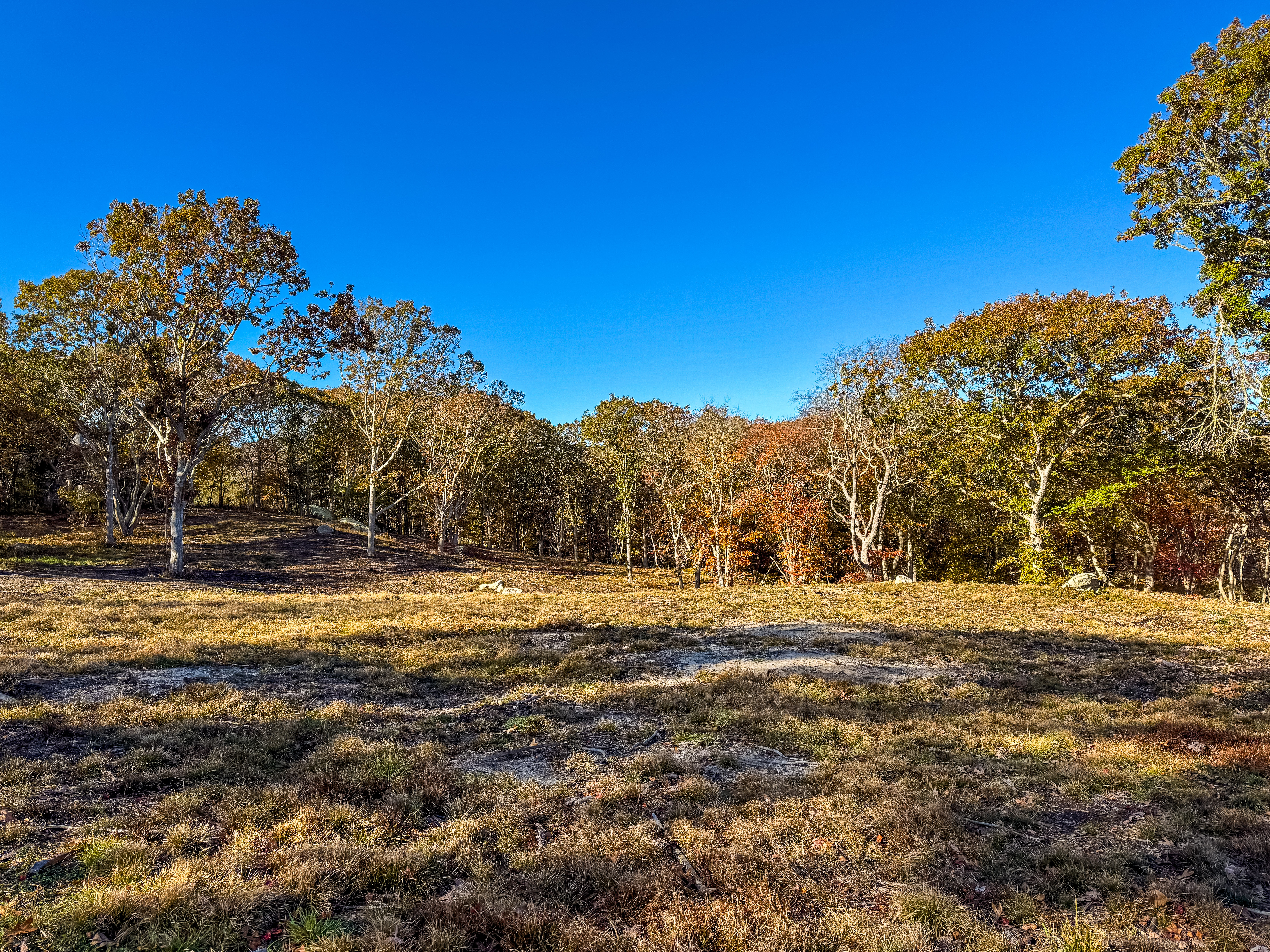 31 Tower Lane and 34 Ebens Lane