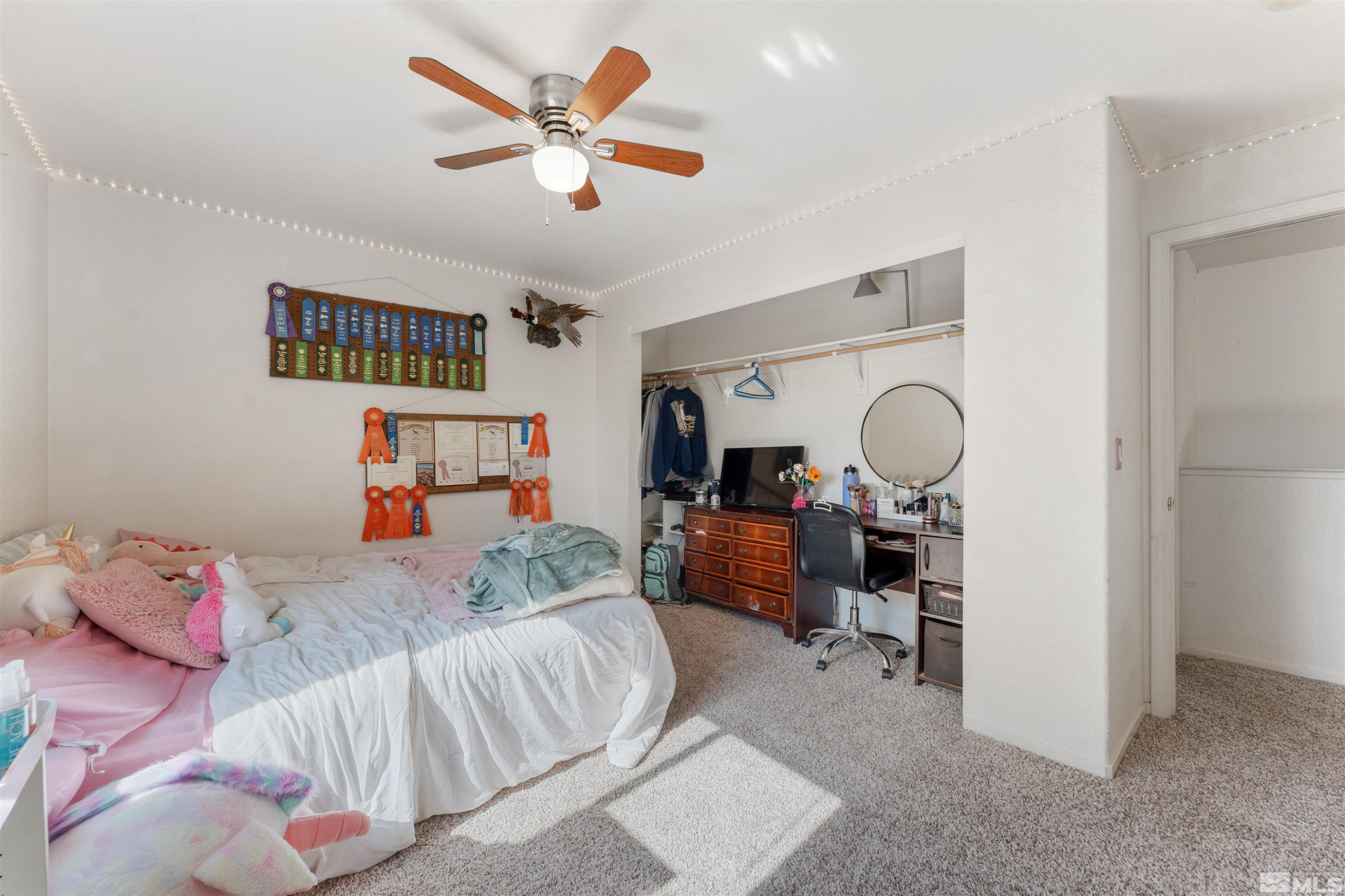 17241 Desert Lake Court