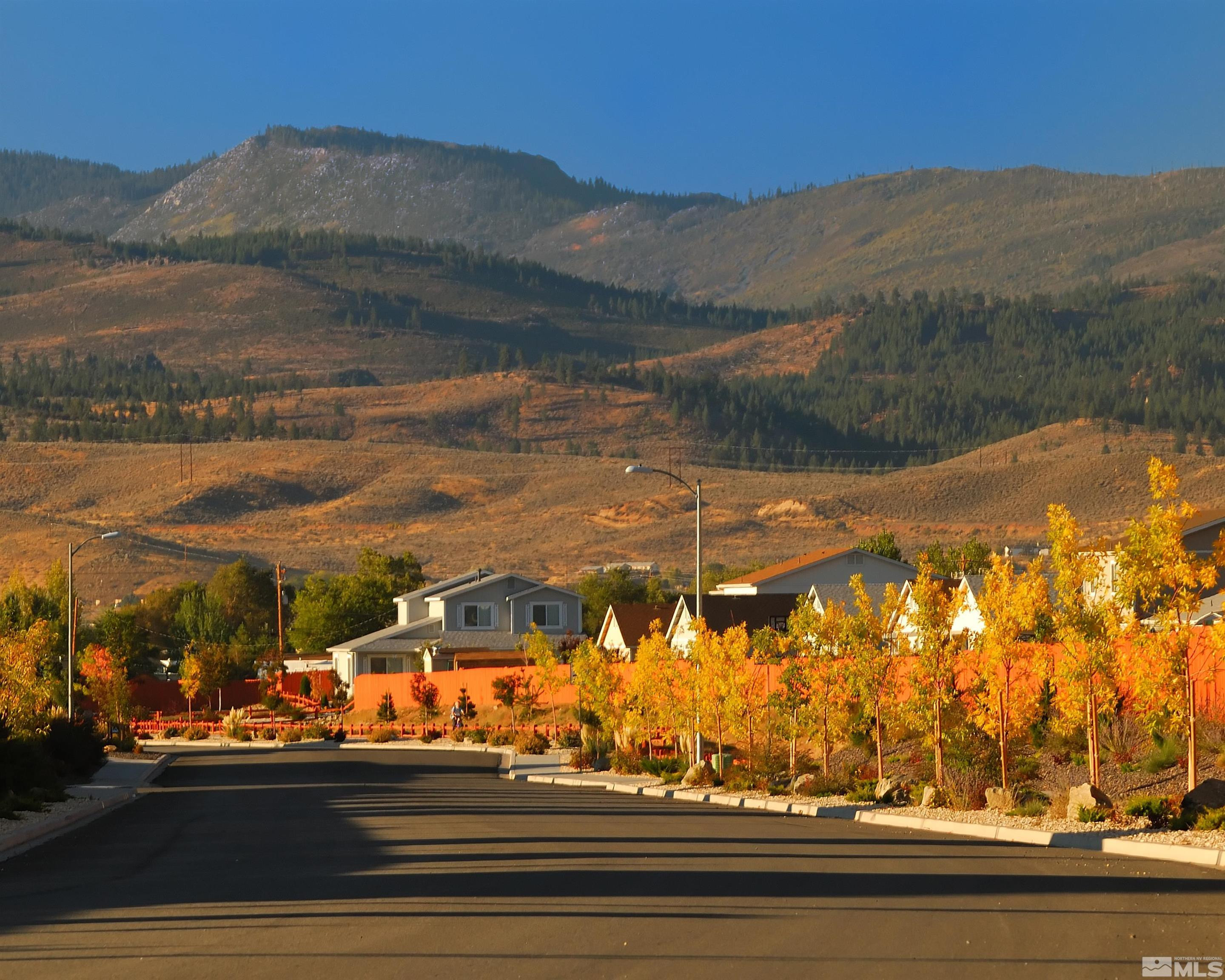 4006 Cold Springs Court