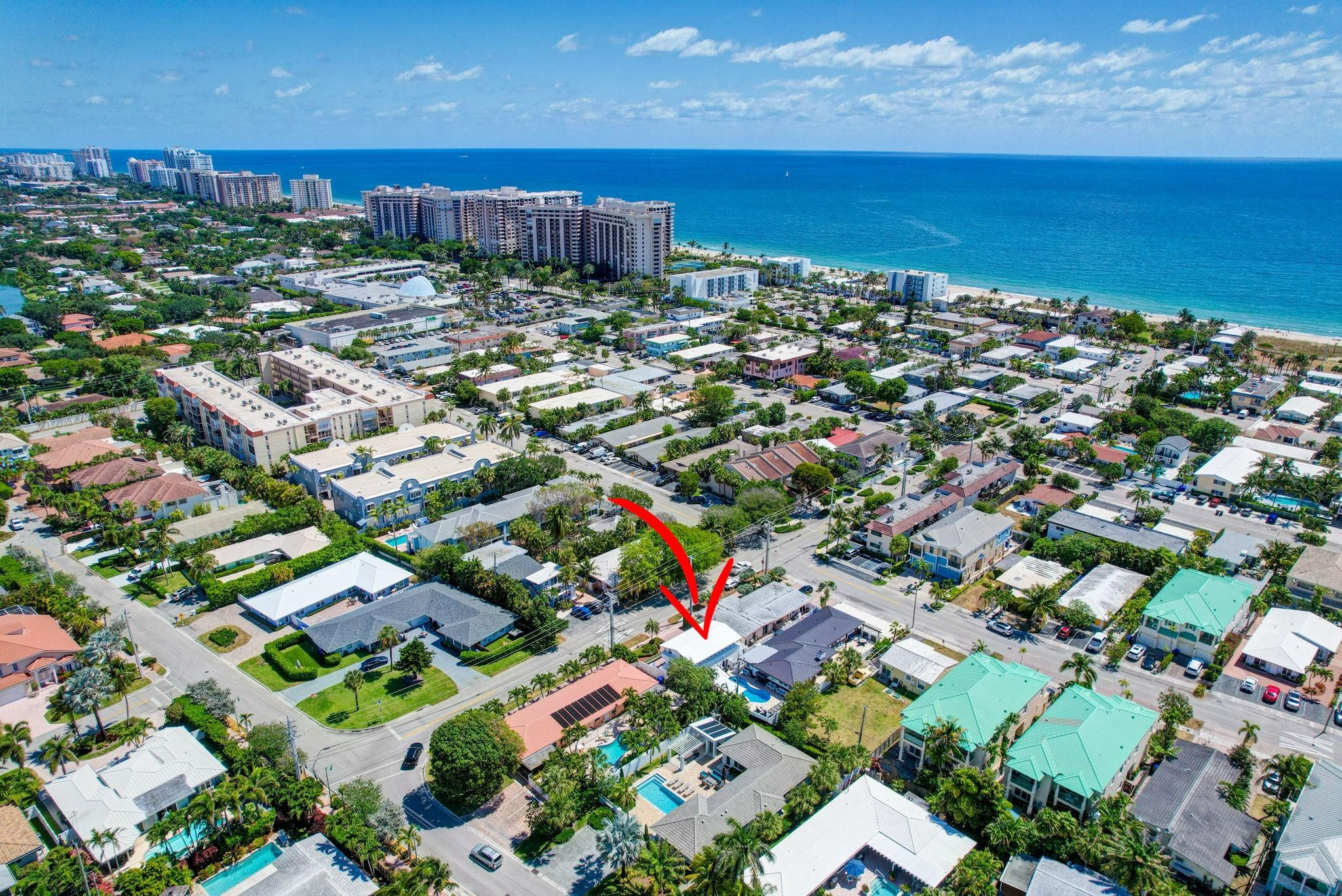 221 Washingtonia Ave