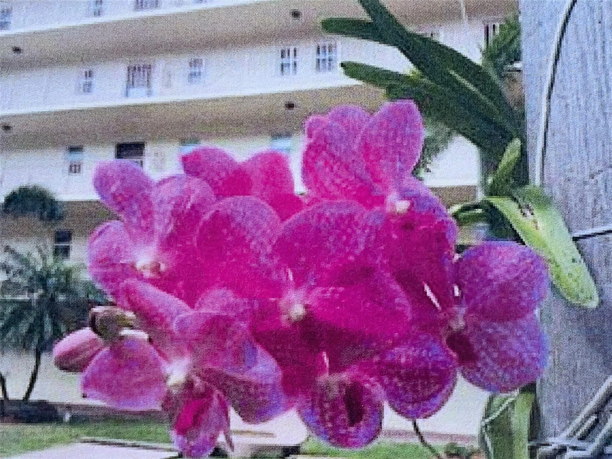 4629 Poinciana Street 314, Lauderdale-By-The-Sea Unit: 314