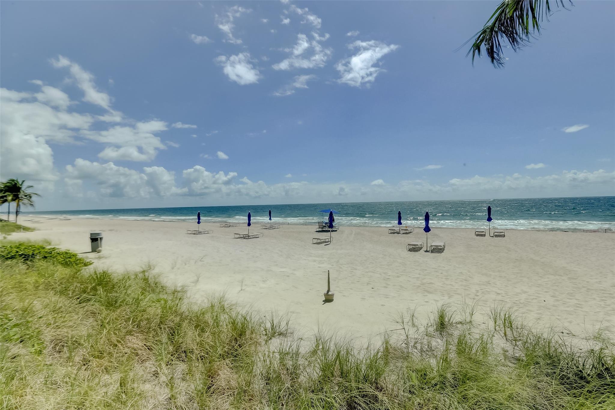 3800 Galt Ocean Dr 1209