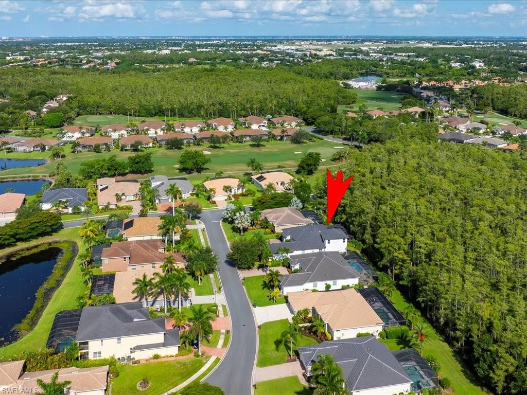 7253 Sugar Palm CT