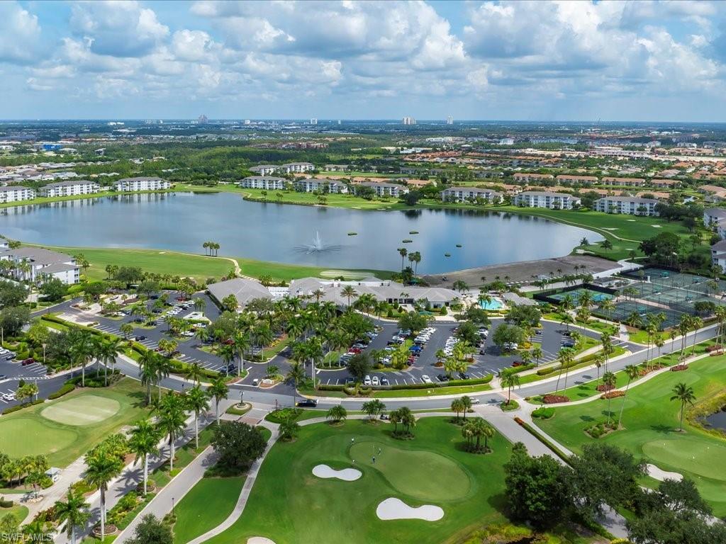 7253 Sugar Palm CT