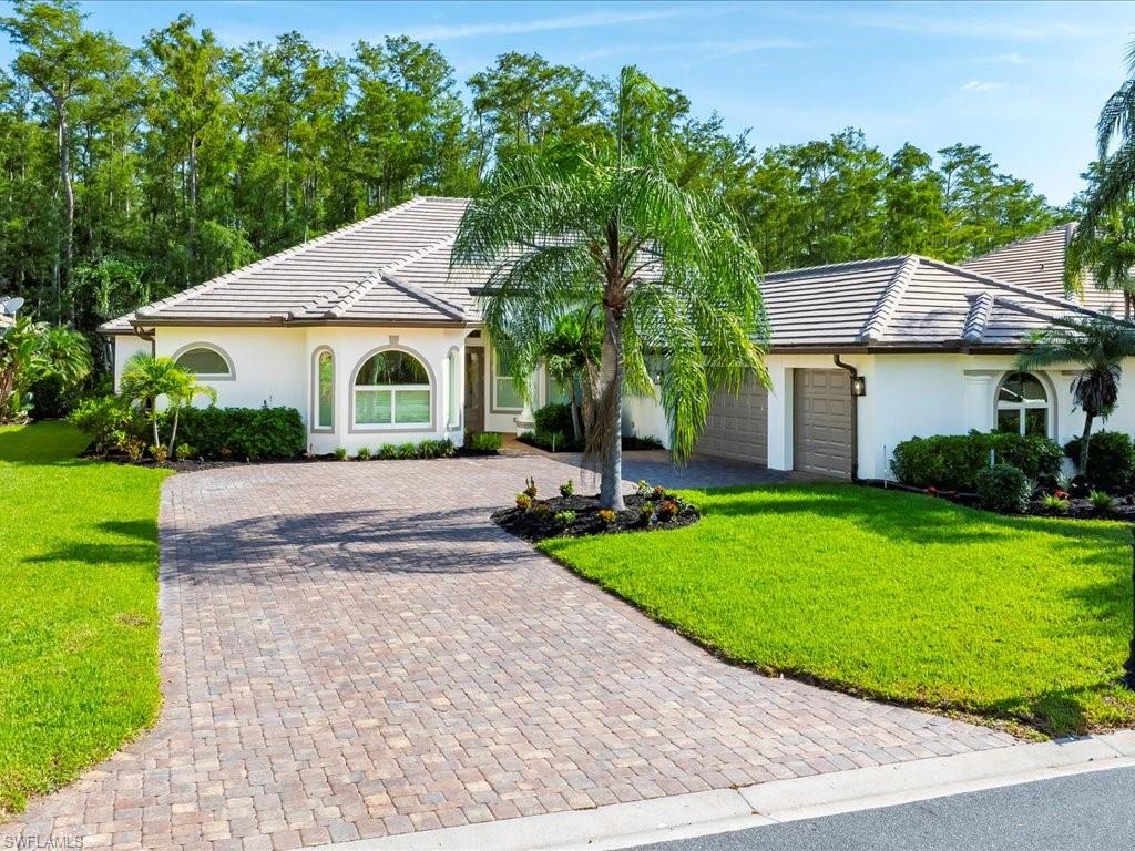 7253 Sugar Palm CT
