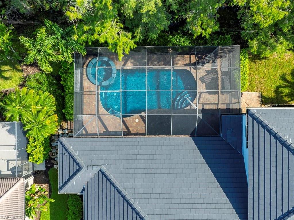 7253 Sugar Palm CT