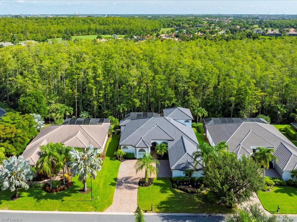 7253 Sugar Palm CT