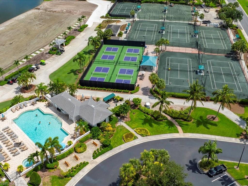 7253 Sugar Palm CT