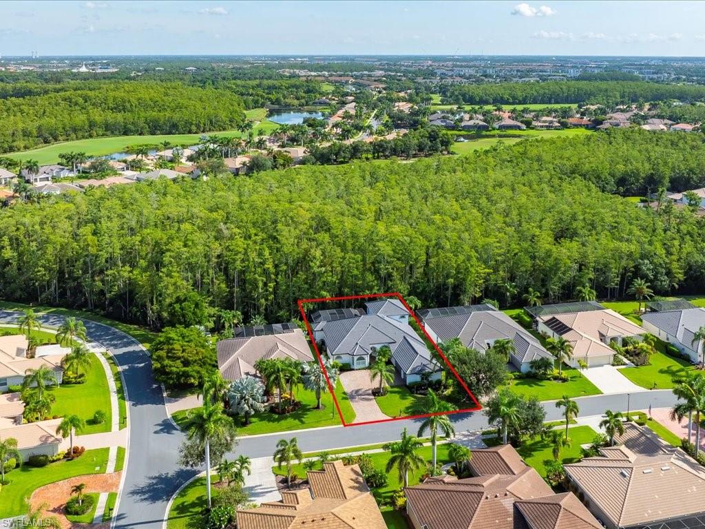 7253 Sugar Palm CT