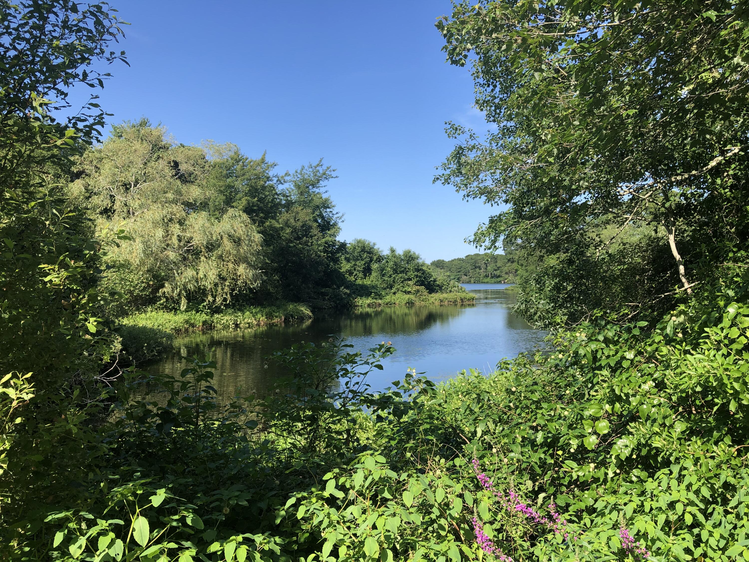 218 Long Pond Drive