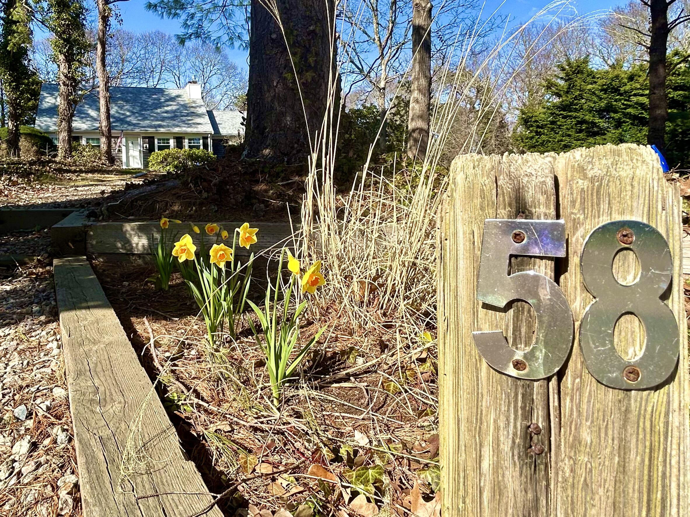 58 Carol Drive