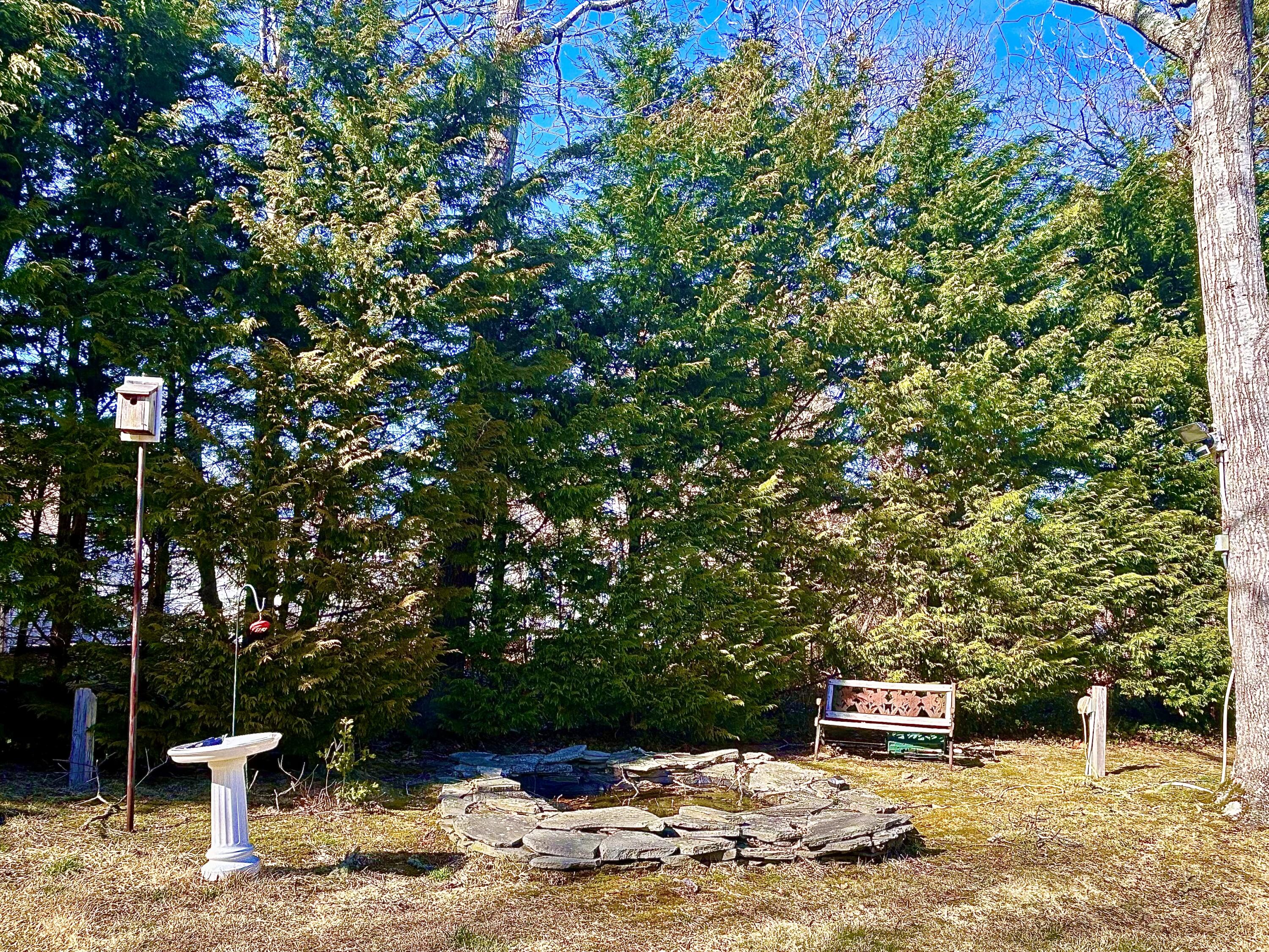 58 Carol Drive