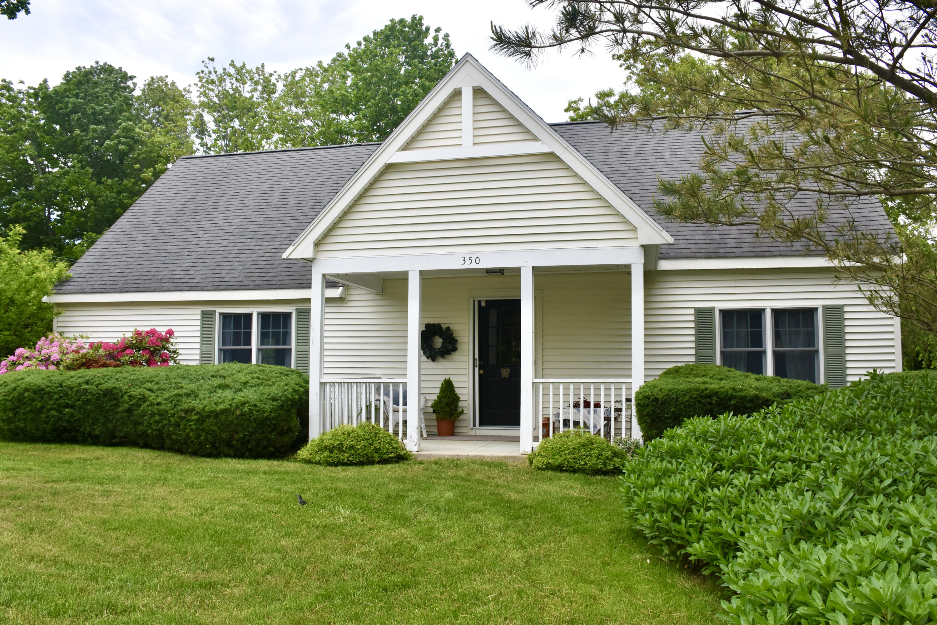 350 Williston Road