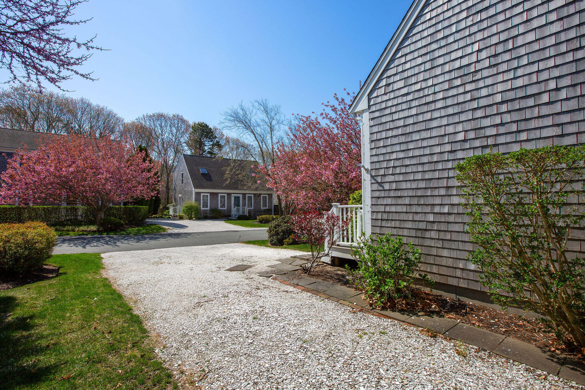 121 Camp Street # 137
