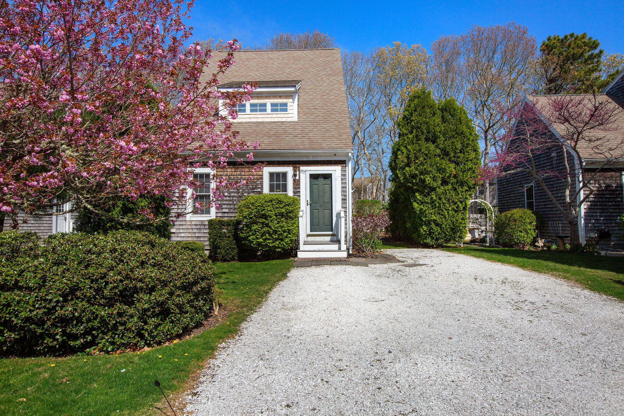 121 Camp Street # 137