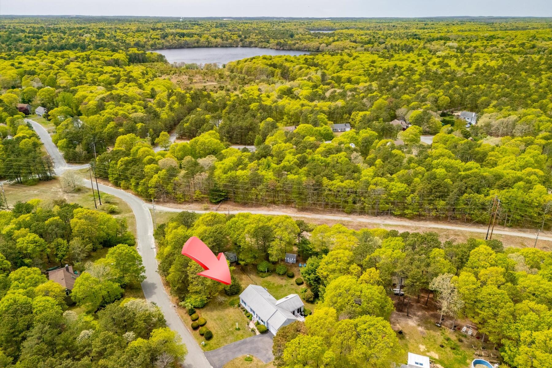 58 Tree Line Drive