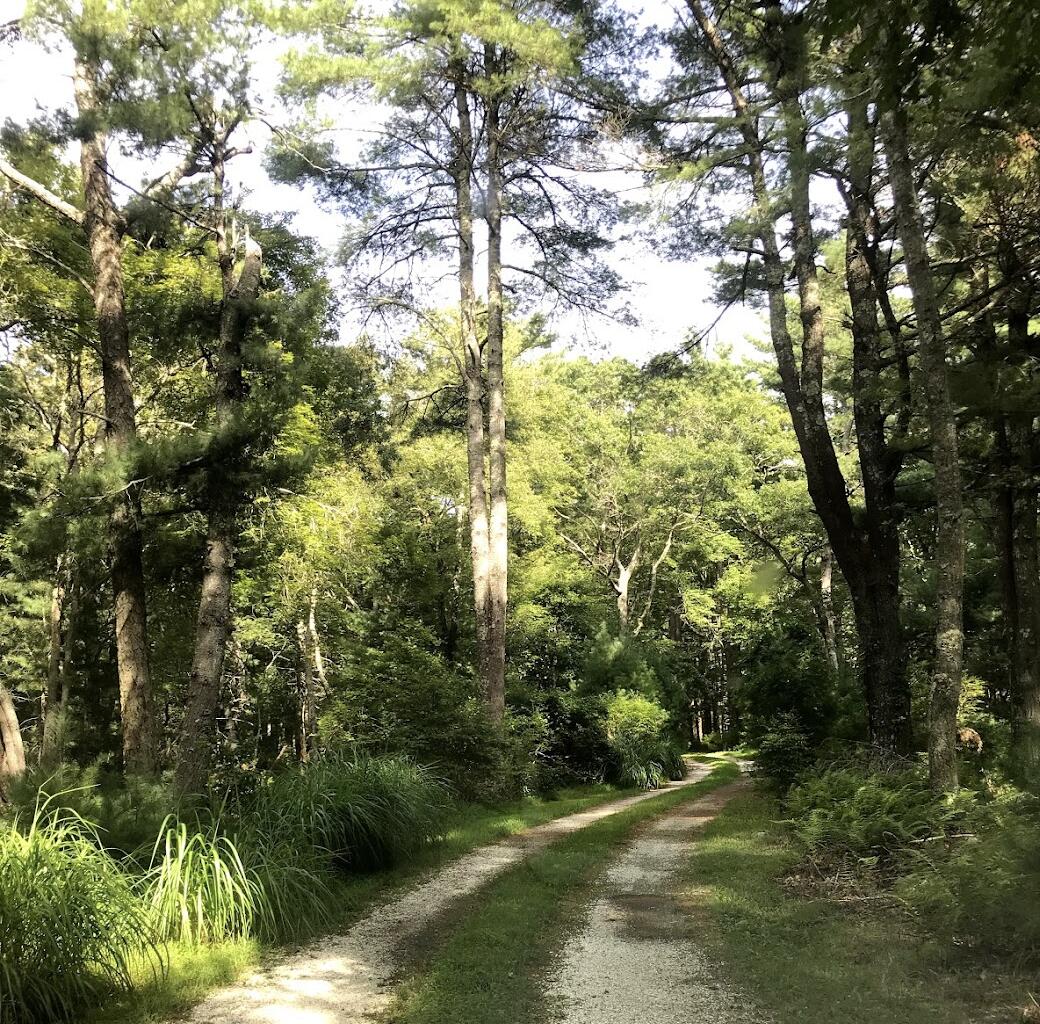 248 Great Neck Road