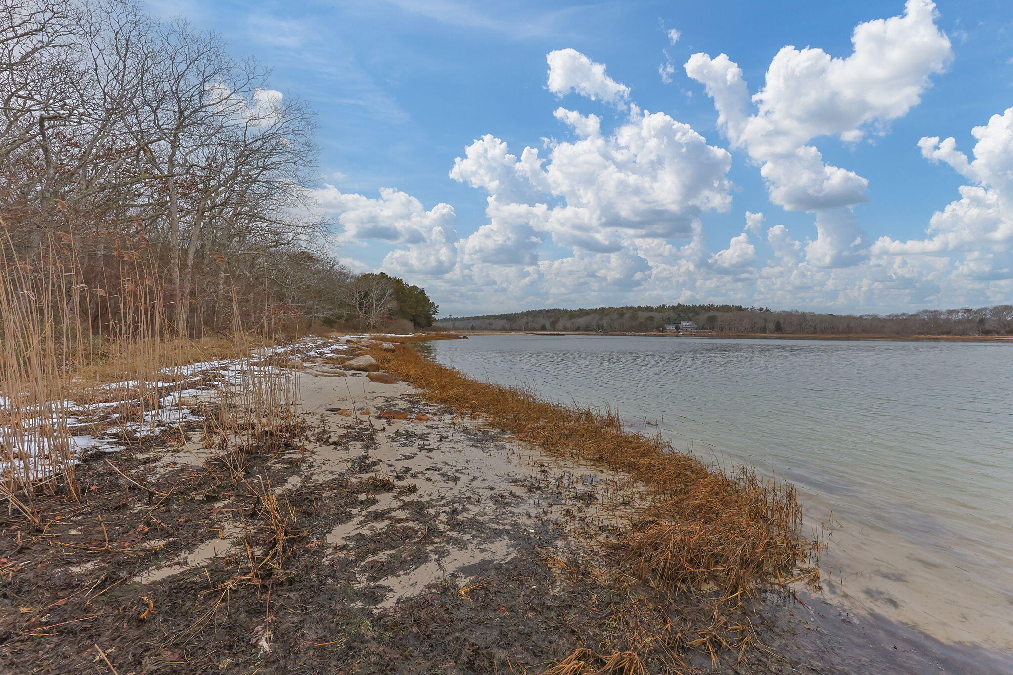 248 Great Neck Road
