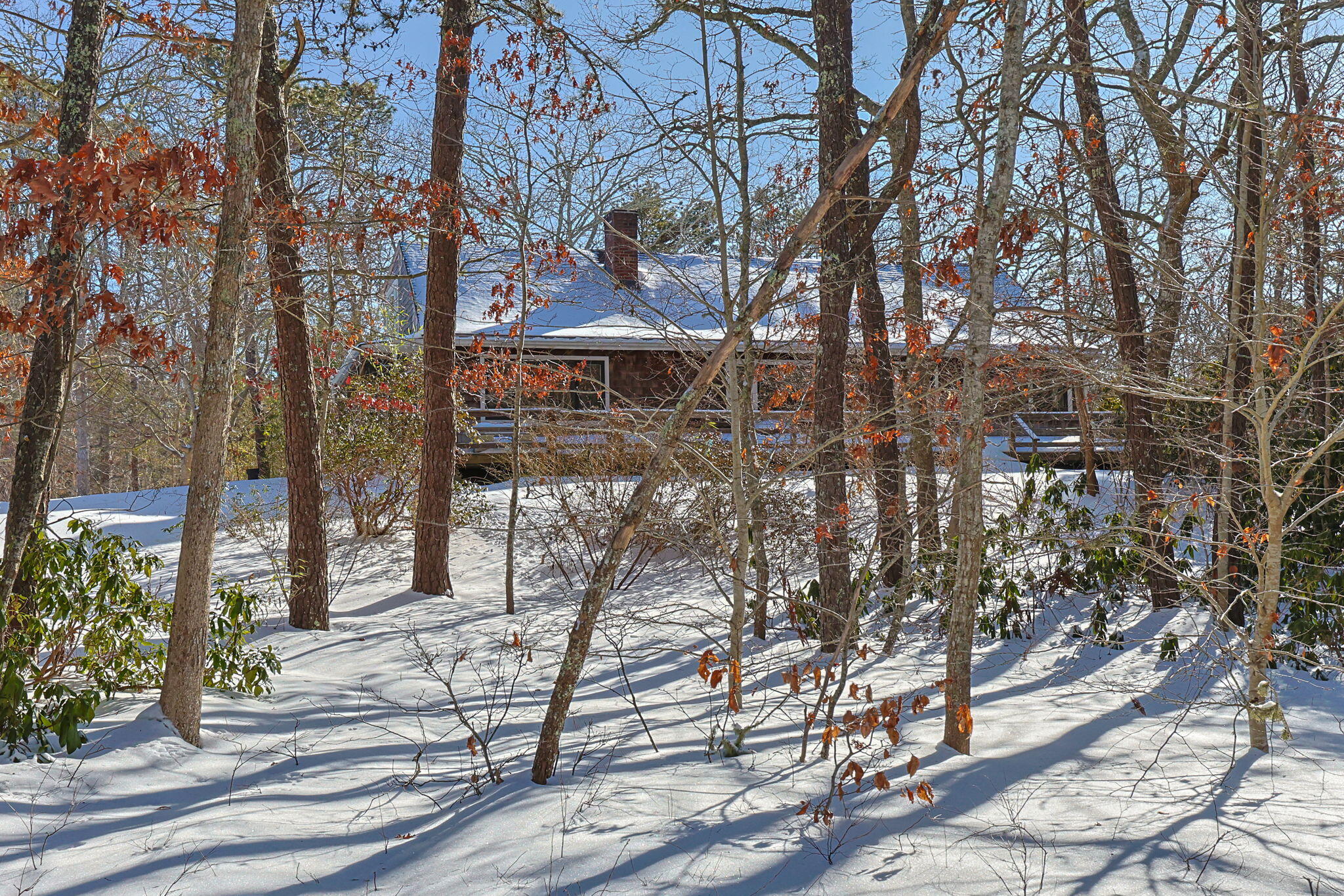 58 Aunt Molls Ridge Road