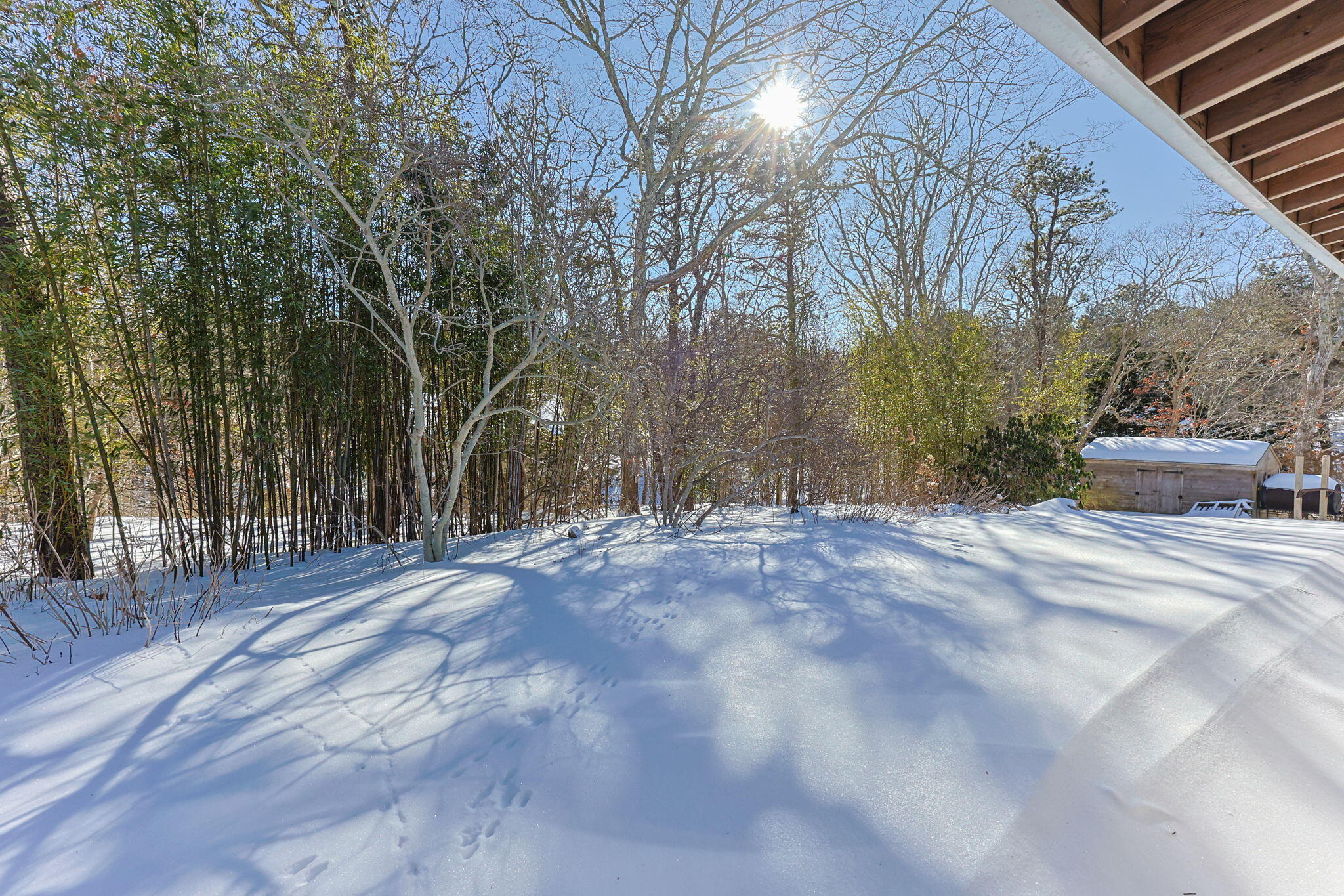 58 Aunt Molls Ridge Road