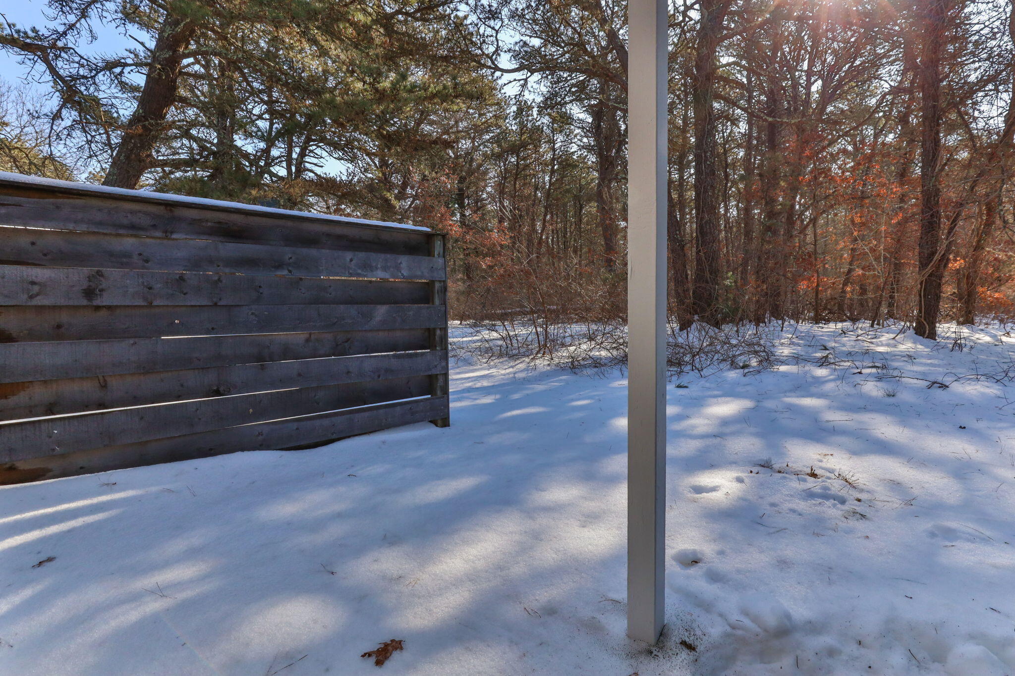 248 Camp Street # D2