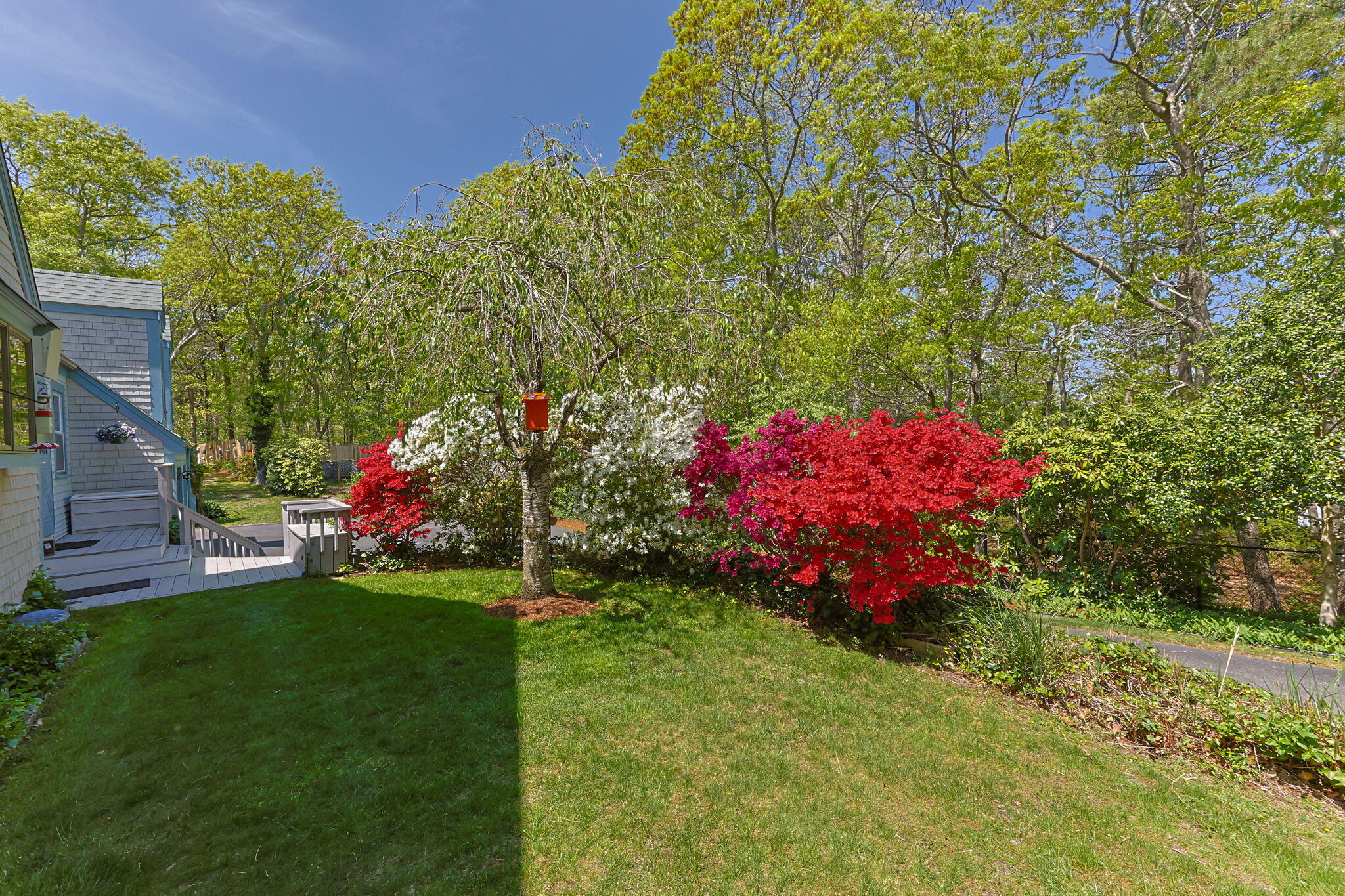 12 Madison Drive