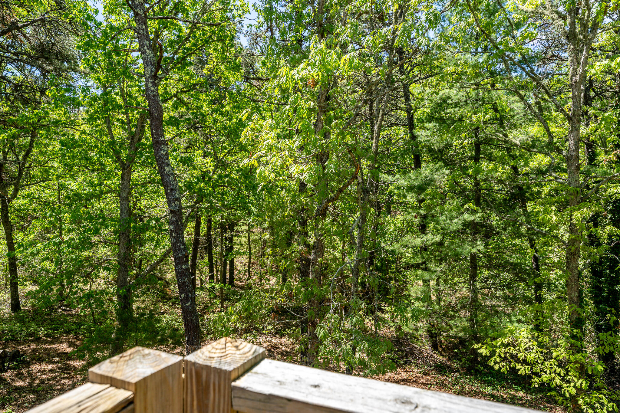 168 White Moss Drive