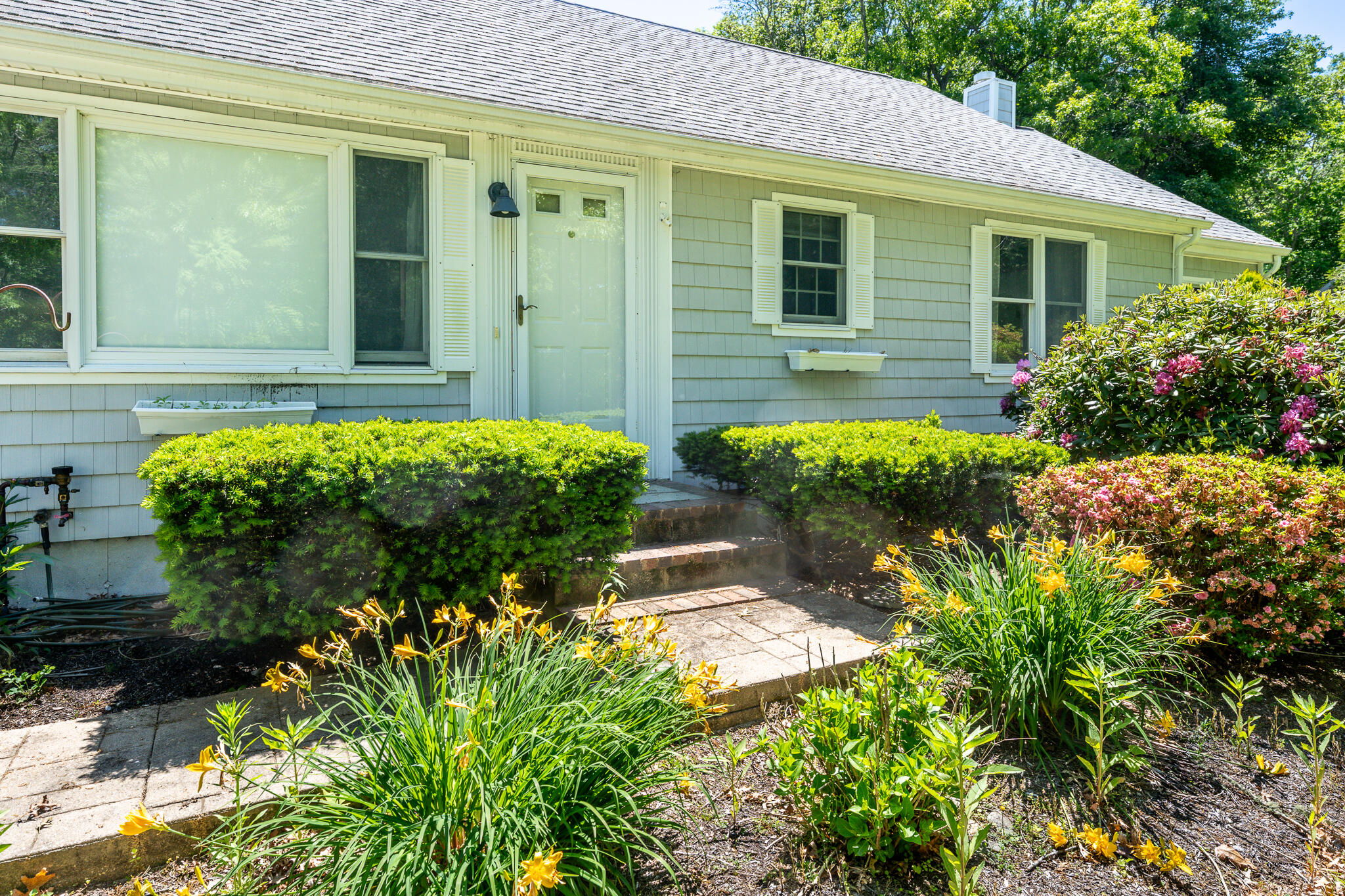 1529 Race Lane