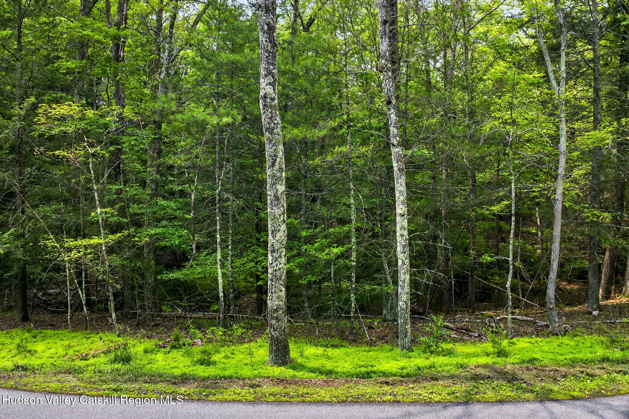 Tbd Dug Hill Road
