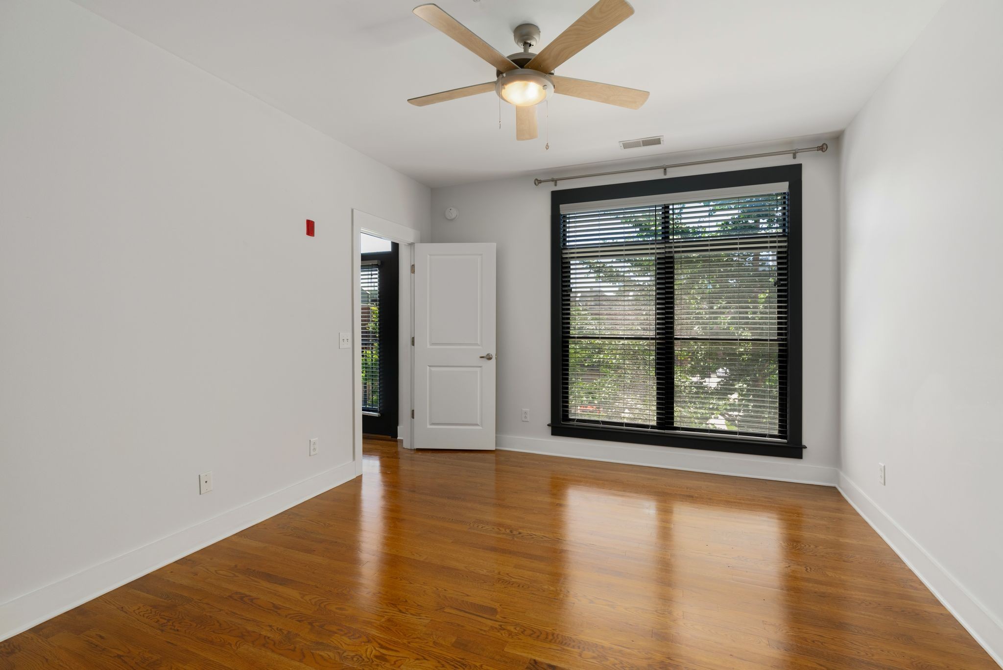 817 3rd Ave, N Unit: 316