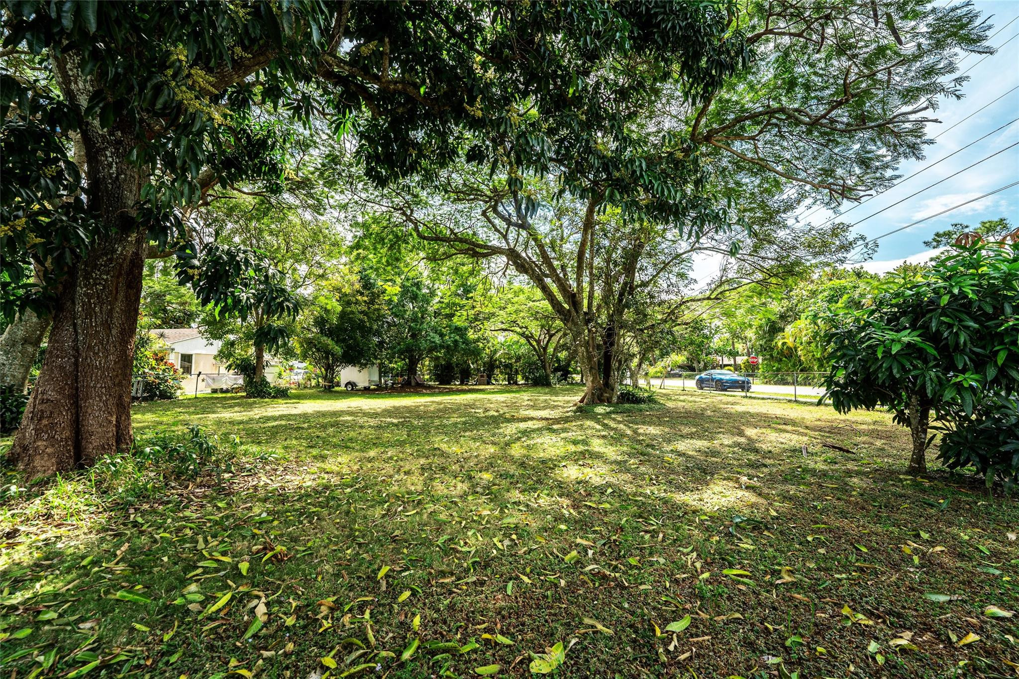 5239 Sunrise Blvd