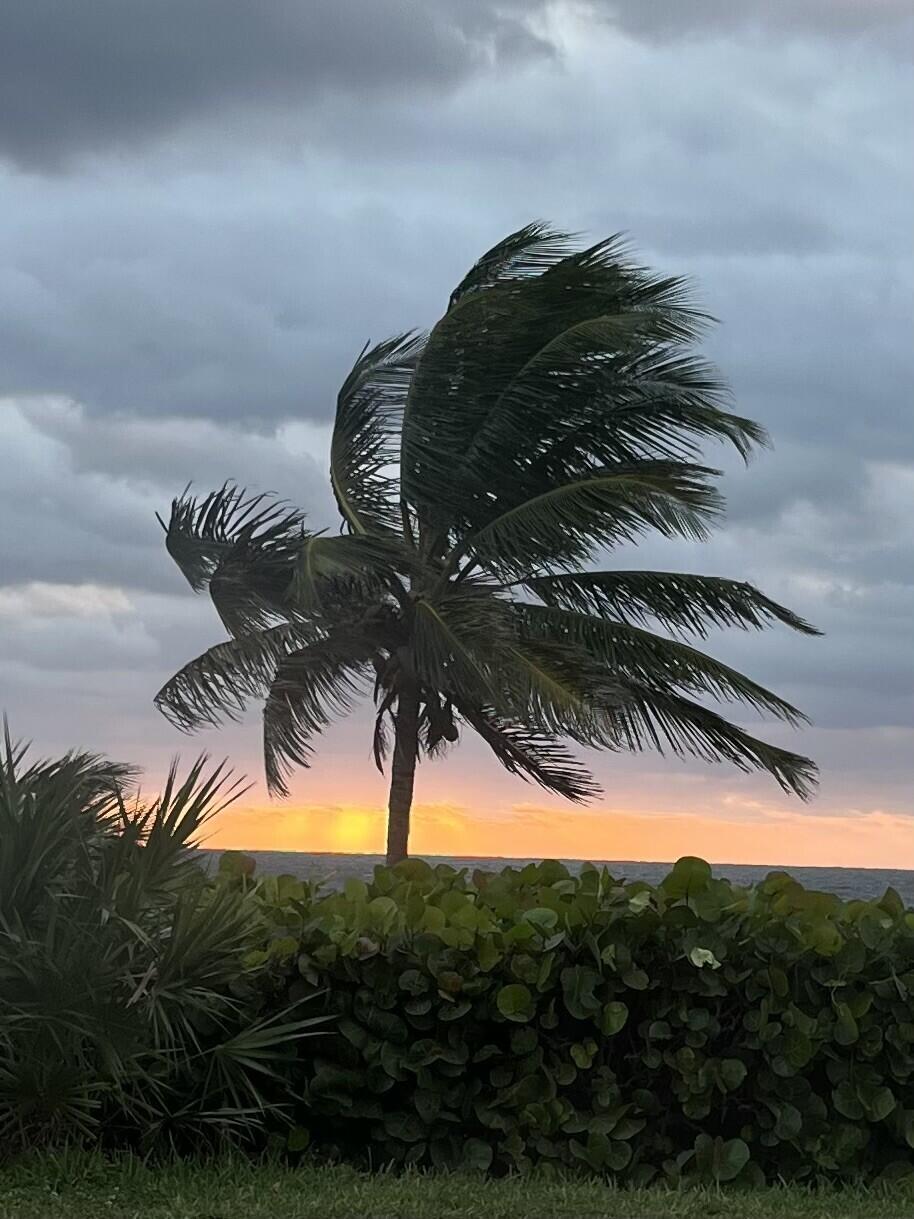 2871 N Ocean Boulevard M130