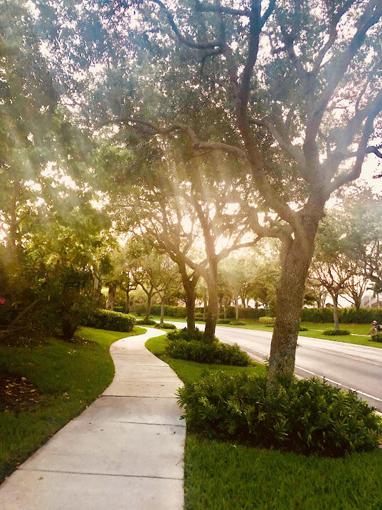 11949 Rosetree Terrace