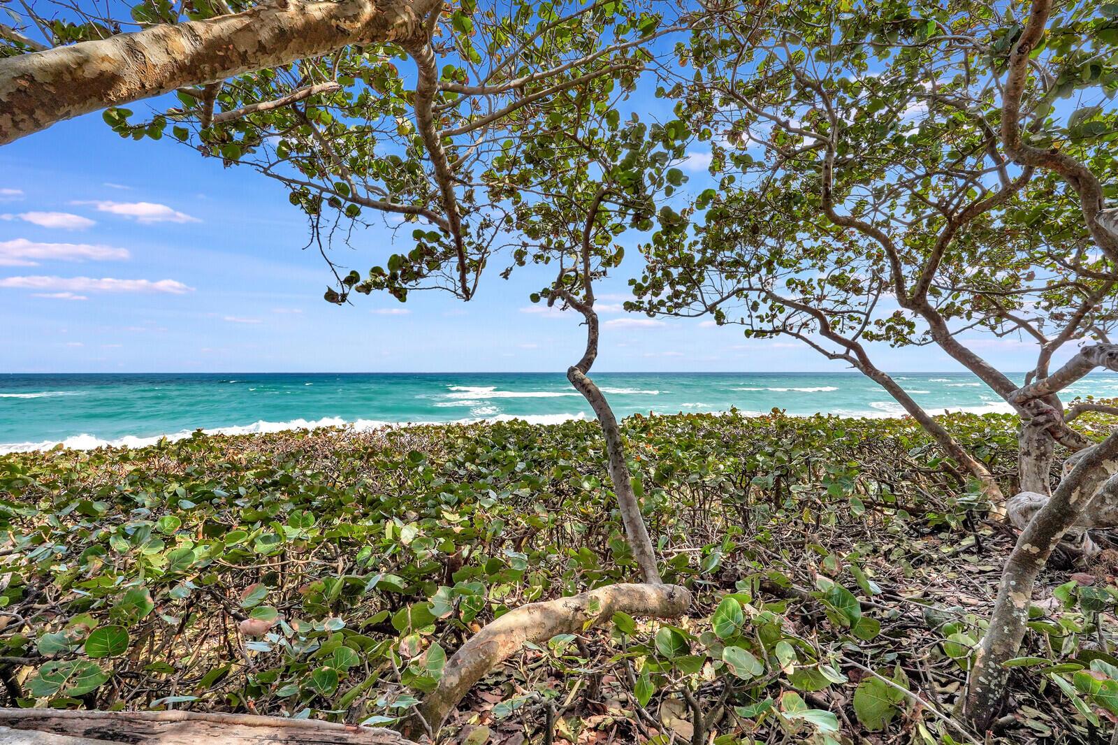 1805 Mainsail Circle