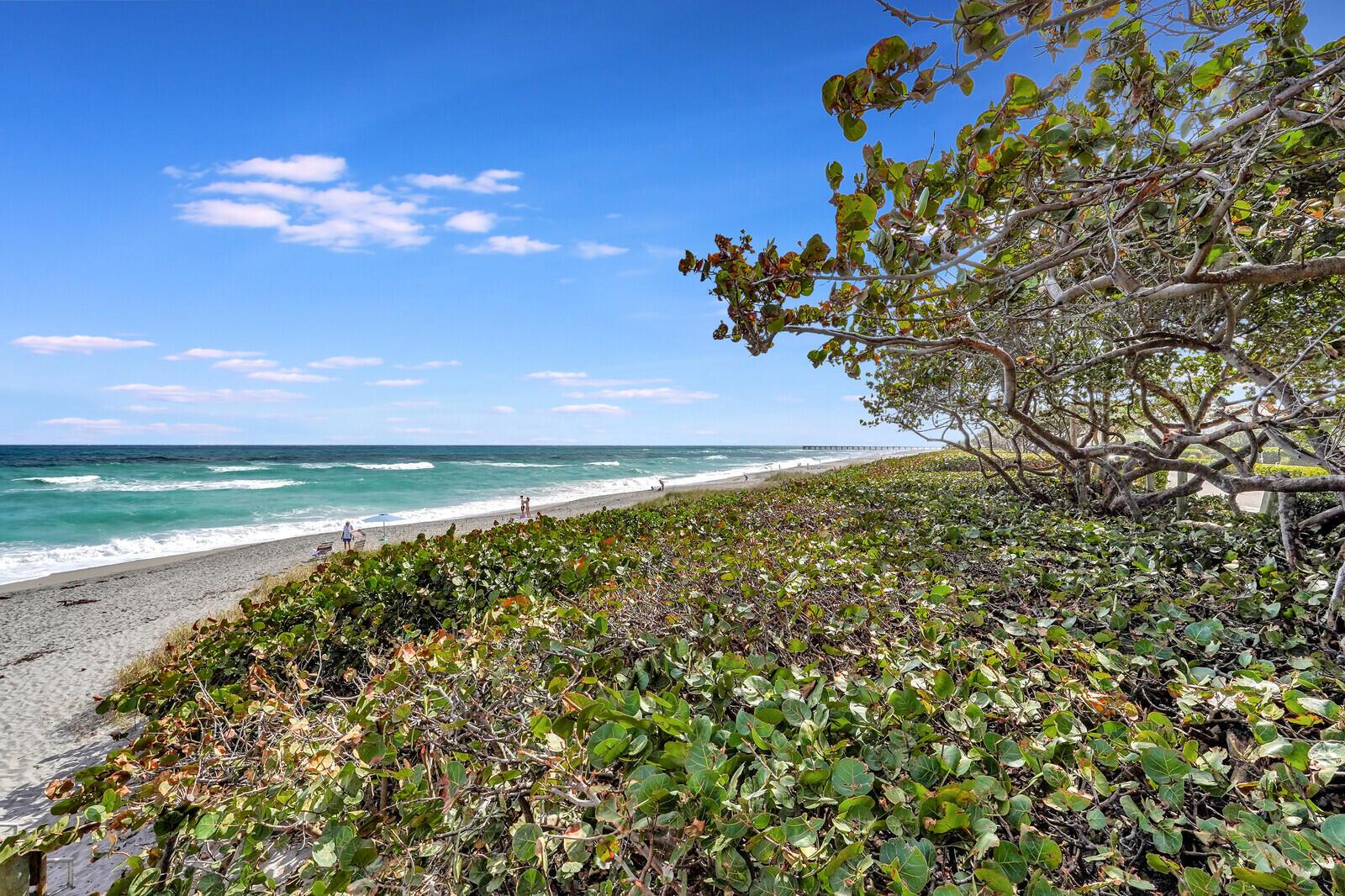 1805 Mainsail Circle