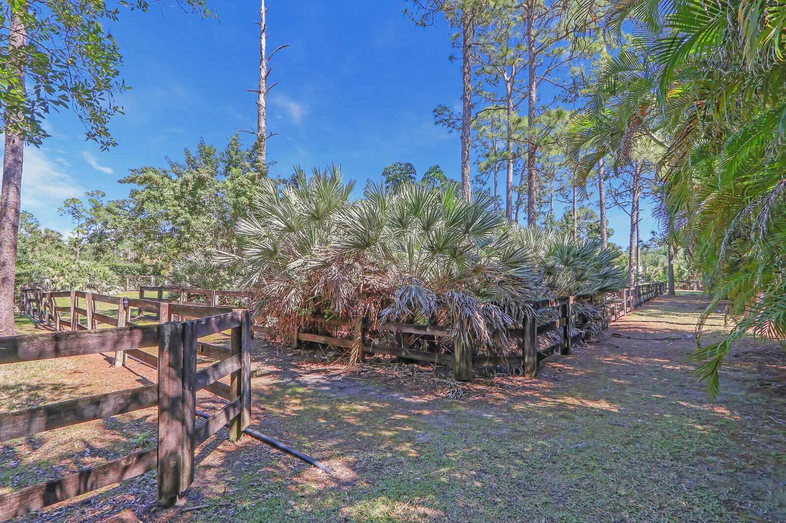 15595 Mellen Lane