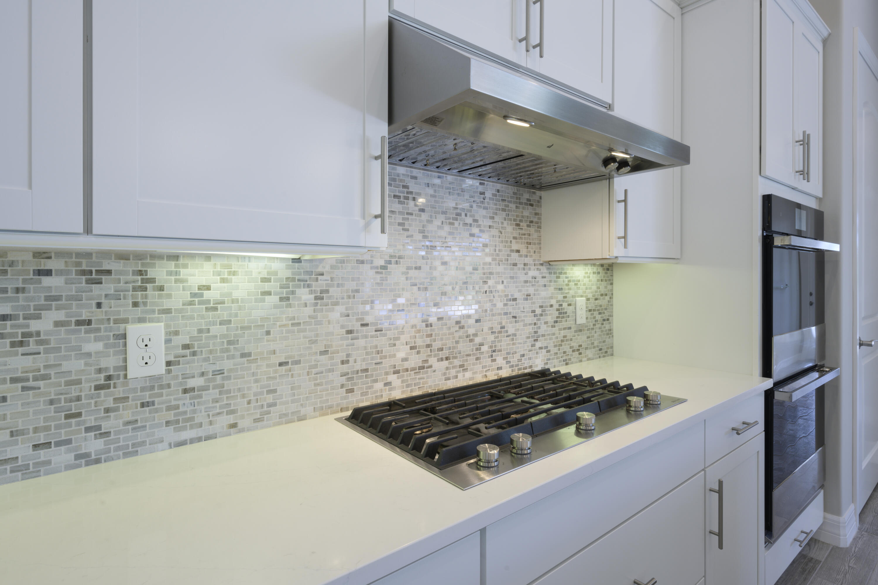 206 Blessed Isles Lane