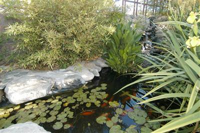 4260 N Bonanza Avenue