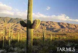 13735 E Placita Nido Del Aguila