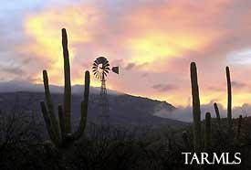 13735 E Placita Nido Del Aguila